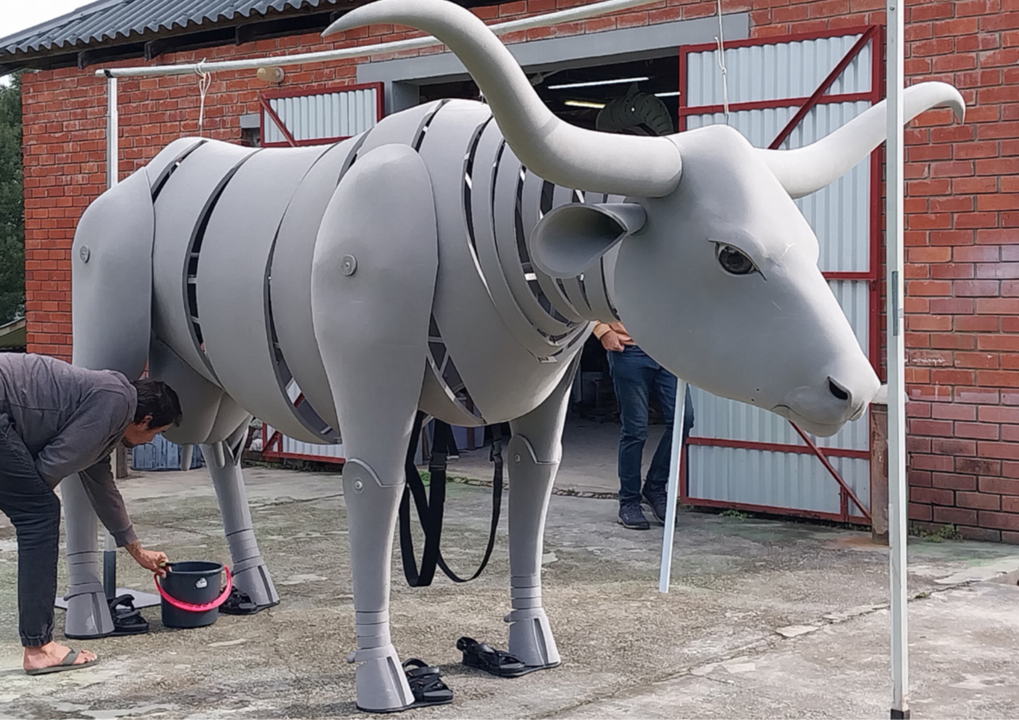 Completed longhorn pre coat